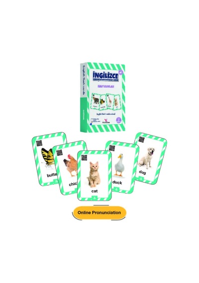 4-9 Yaş İngilizce Konuşturan Kelime Kartları English Flash Cards/ Okul Öncesi Ve İlkokul /376 Kelime