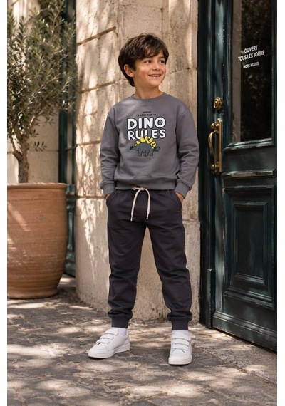 Eray Alp Kids Erkek Çocuk Dinozor Baskılı Sweatshirt Eşofman Takımı Günlük Rahat Kombin Gri
