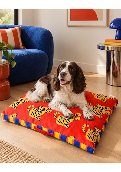 Orta Irk Köpek Ve Kedi Yatağı - Renkli 80x60 Cm Jagger
