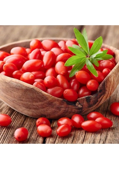 Tüplü Nq7 Kırmızı Goji Berry Fidanı 10 Adet