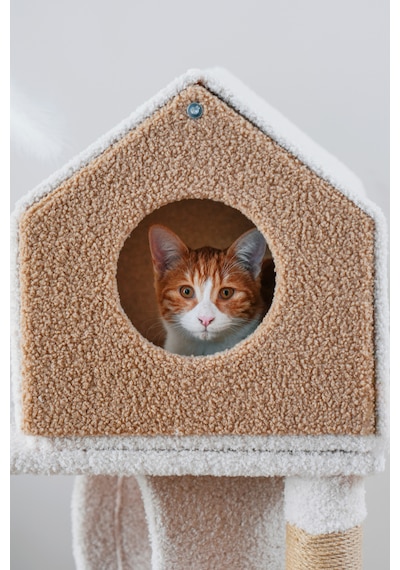 Kuara Bella Kedi Ağacı 3 Katlı Tırmalama Direği Yatak ve Oyuncaklı