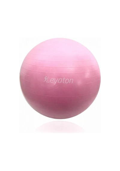 65 Cm Pilates Topu, Pembe, Pompa Dahil