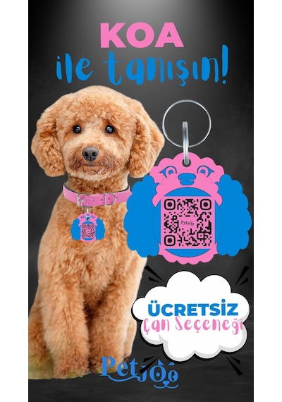 Petjoo 14.Koa Mavi-Pembe Qr'lı Köpek Künyesi