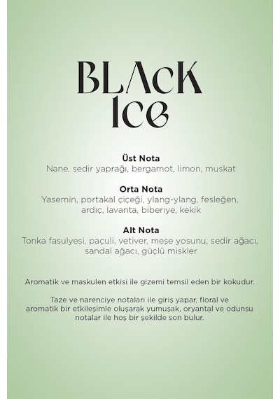 Carpex Black Ice Trioscent Pro Koku Kartuşu 90 Ml Odunsu