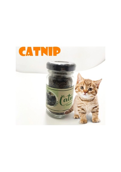 Lb Catnip Doğal Kedi Otu - Kedi Nanesi