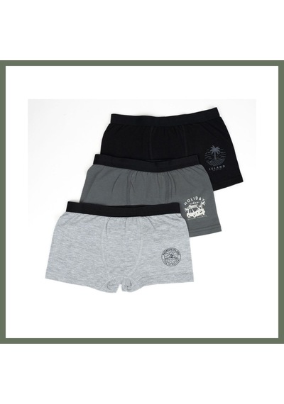 Bezos Erkek 2li Boxer Set K128997 Tek Adet Fiyatıdır Beden: 3-4 Yaş Renk: Asorti Bezos1 Çok Renkli