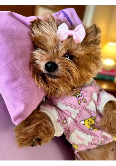 Toad Teddy Penye Tulum Yastık Takım Uyku Set Köpek Tulum Elbise