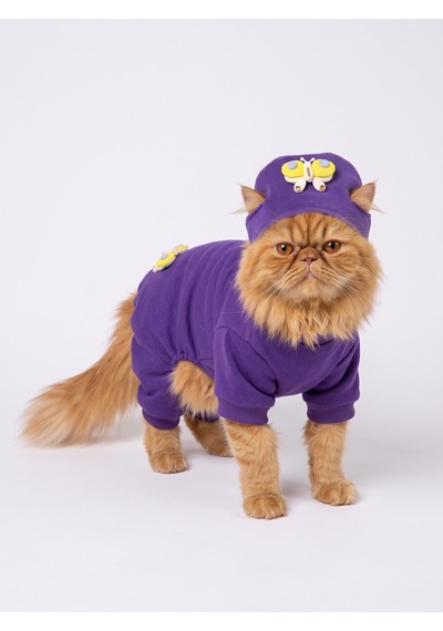 Violet Wings Kedi Bere Ve Tulum Kombini Mor Renk 3d Kelebek Aksesuarlı Penye Kedi Kıyafeti 2 Parça