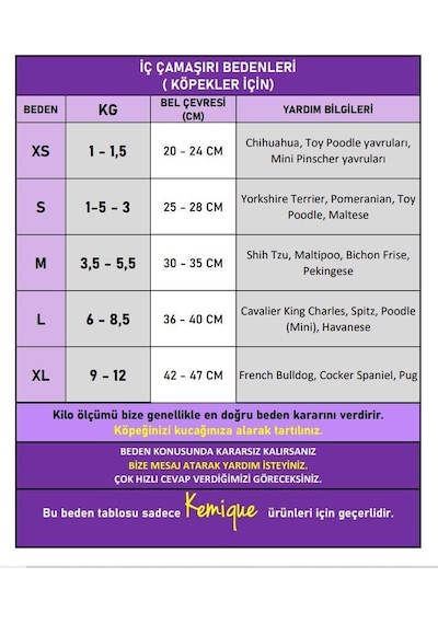 Red Frilly Dişi Köpek Regl Külotu Köpek Donu Köpek İç Çamaşırı Ayarlanabilir Bağcıklı Küçük Irklar İçin
