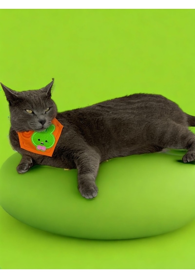 Kemique Green Bunny Kedi Bandana Fular Kedi Kıyafeti