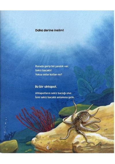 4 Yaş Okyanustaki Dostlarımız (Erdem Çocuk)