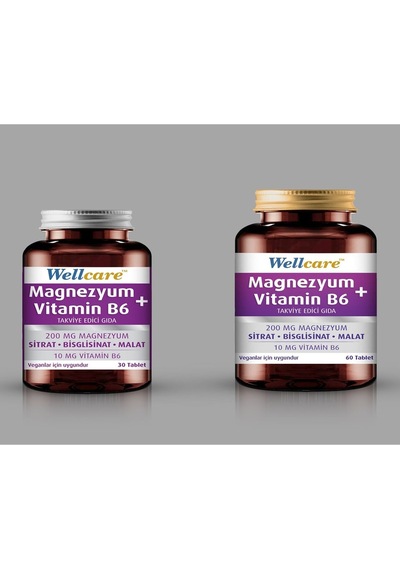 Wellcare Magnezyum B6 60 Tablet + 30 Tablet