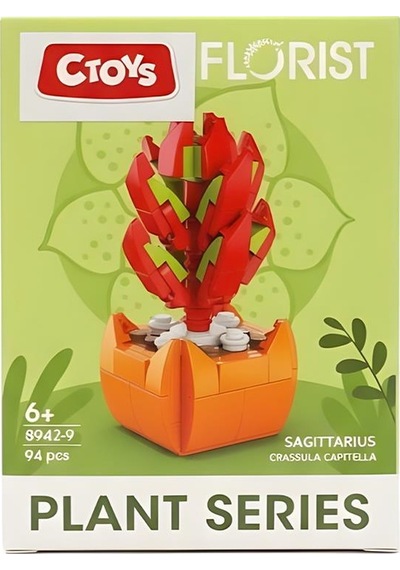 Ctoys Florist Burçlar Saksılı Bitki Yapım Seti Sagittarius 8942 9