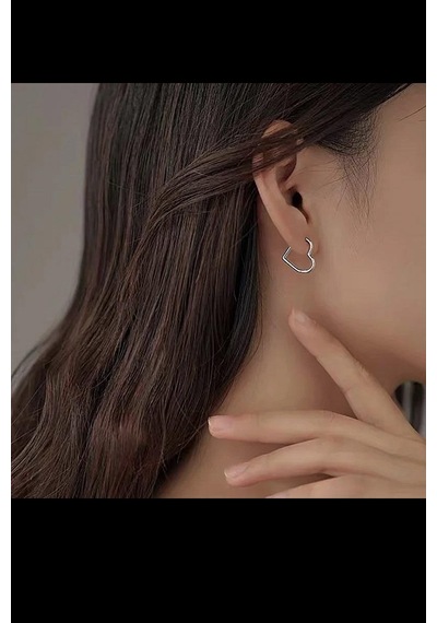 Gümüş Kalp Model Küpe Nz25e23 Diğer