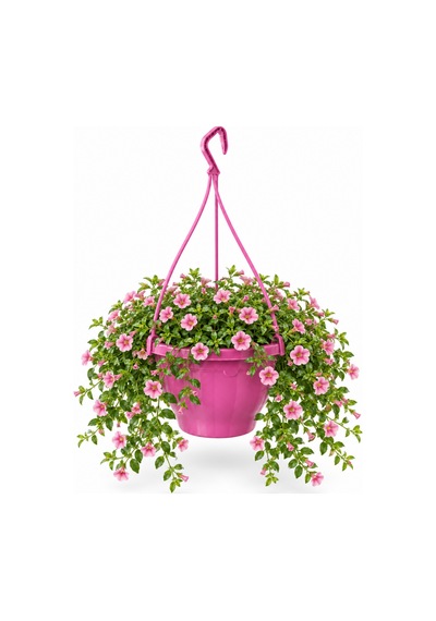 Pembe Fuşya Askılı Saksı 4.5 Lt 10 Adet 24.7x15.2 Cm