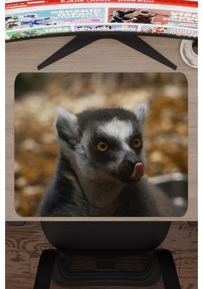 Lemur Kaymaz Dikişli Kauçuk Oyuncu Mousepad V1 - 48x40 Xl Gaming Mouse Pad Fare Altlığı