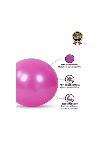 Premium Mini Gymball 20cm Jimnastik Denge Fitness Spor Şişirme Pompası Pembe Pilates Topu