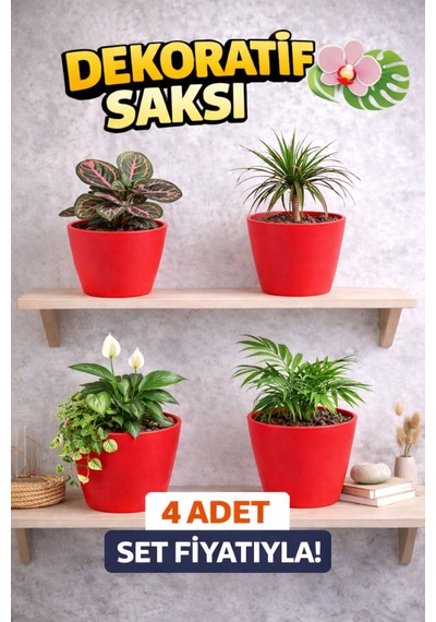 Modern Kırmızı Saksı Seti 4 Adet Orkide Ve Ev Bitkileri İçin