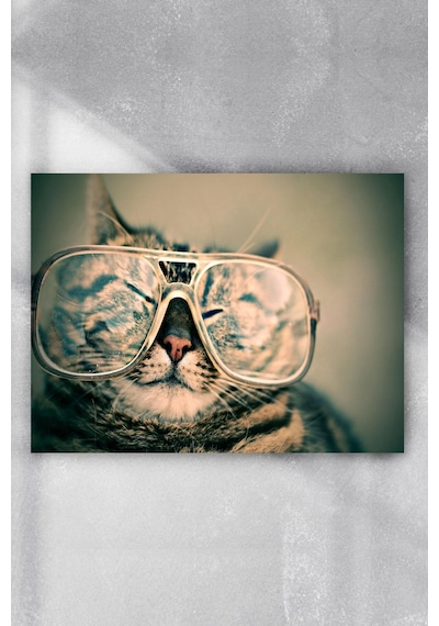 Kedi Eğlenceli Mizahi Poster 2