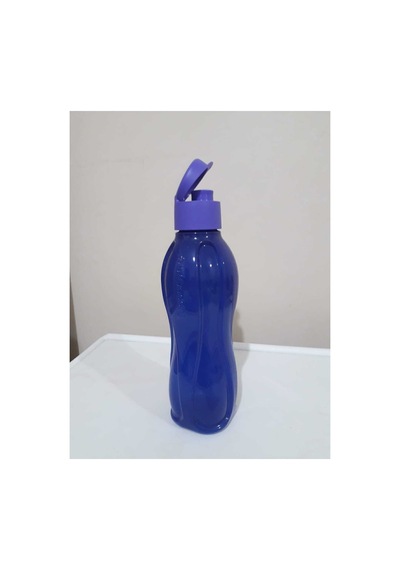 Eko Şişe 750 Ml 2 Li Yeni Renkler Suluk Matara Mor-açık Sarı
