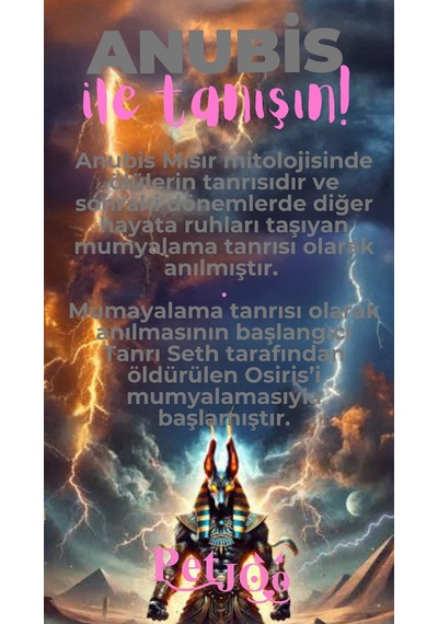 Petjoo 30.Anubis Pembe-Gri Qr'lı Köpek Künyesi