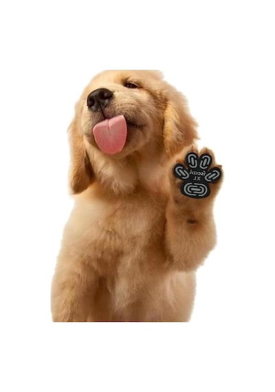 Akınalbella Kaymaz, Su Geçirmez Ve Aşınmaya Dayanıklı Köpek Pençe Koruyucu M Antrasit