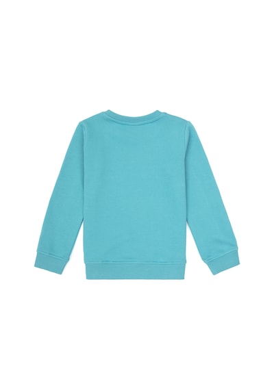 U.s. Polo Assn. Erkek Çocuk Koyu Mint Sweatshirt 50316519-vr152 Koyu Mınt