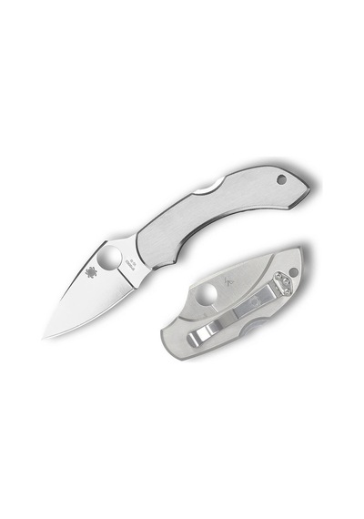 Spyderco Dragonfly Stainless Plainedge Kamp Çakı Gümüş