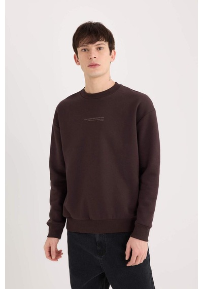 DeFacto Boxy Fit Bisiklet Yaka Baskılı Sweatshirt X8282AZ24AUBN337