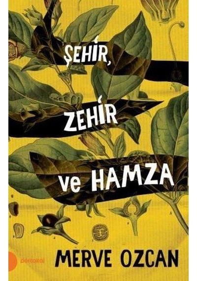 Şehir Zehir ve Hamza - Merve Özcan - Portakal Yayınları