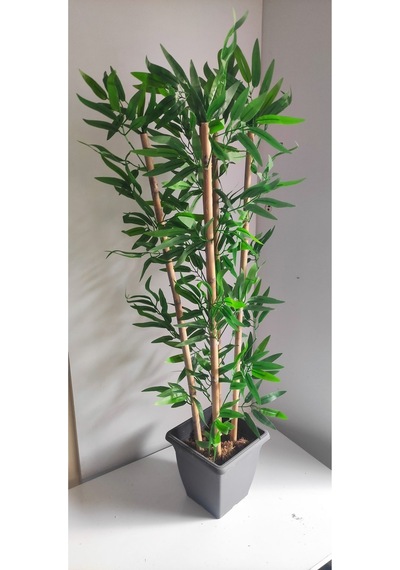 Rüzgar Çiçekcilik 110 Cm 5 Li Bambu Yeşil