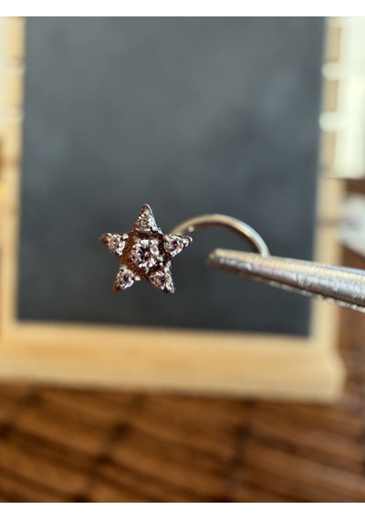 Yüksek Kalite G23 Titanium Yıldız Zirkon 6x0.8mm Titanyum Hızma Piercing Gümüş
