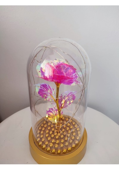 Pembe Gül Sarı Tabanlı Işıklı Fanus