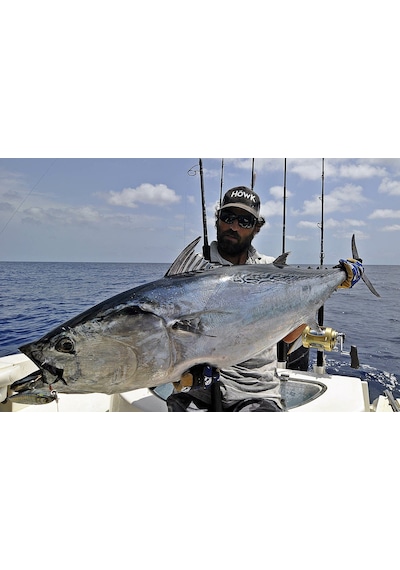 Höwk Bullfighter 250, 226cm 90-220gr. Offshore Casting Kamış