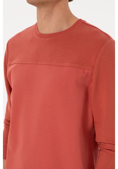 U.S. Polo Assn. Erkek Regular Fit Bisiklet Yaka Gül Kurusu İnce Sweatshirt 50315455-VR026