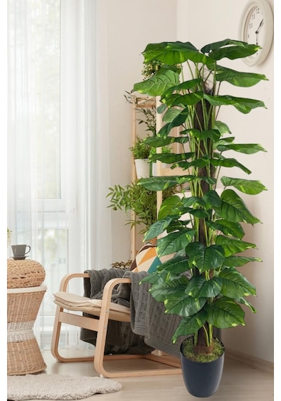 Yapay Çiçek Pothos Salon Sarmaşığı Tropik Salon Bitkisi Yapay Ağaç 165cm