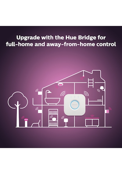 Philips Hue Iris - Silver (Special Edition)