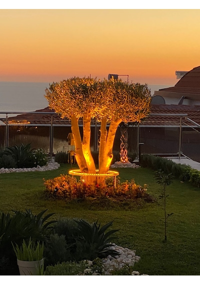 Palmiye Çember Aydınlatma Ip67 65cm