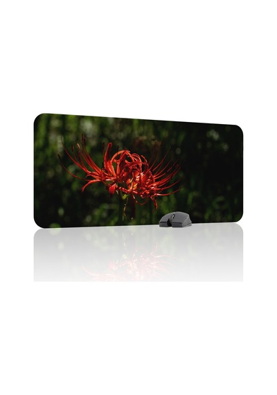 Higanbana Kaymaz Dikişli Kauçuk Oyuncu Mousepad V1 - 90x40 Xxl Gaming Mouse Pad Fare Altlığı