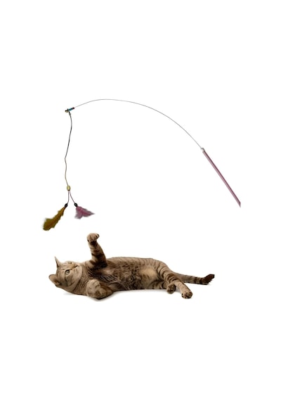 Tr Aee Kedi Oltası Elastik Çift Tüylü Çanlı Boncuklu Kedi Oyuncağı 130 Cm Uzunluk, Dayanıklı Paslanmaz T
