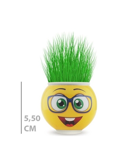 Çim Adam Saksı Emoji Figürlü 1 Adet Renkli