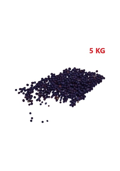 Yem Şalgamı Bitki Tohumu 5 Kg
