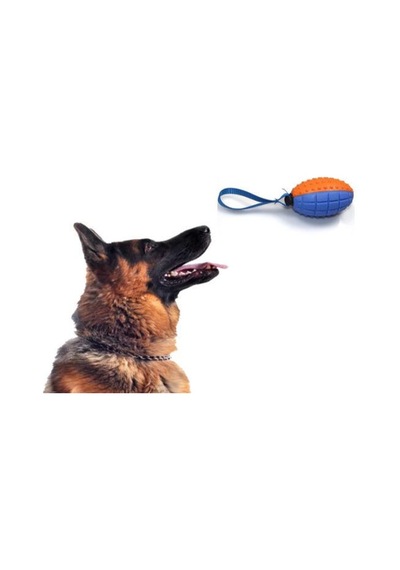 Yatak & Ev Köpek Diş Kaşıma Oyun Topu