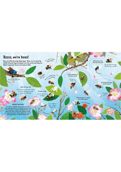 Look Inside: The World Of Bees - Usborne