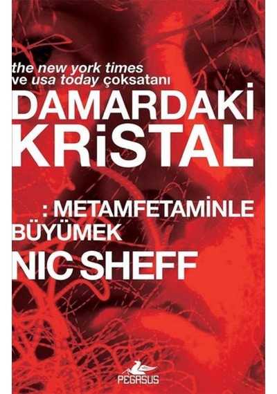 Damardaki Kristal: Metamfetaminle   Büyümek