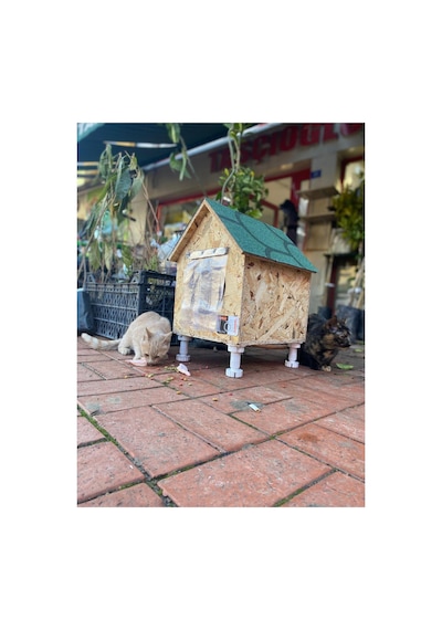 Kedi Evi Kedi Yuvası Kedi Barınağı Su Ve Isı Yalıtımı İç Ve Dış Mekan İçin 33x38x40-video Anlatımlı