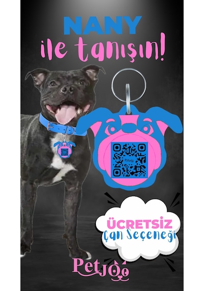 Petjoo 17.Nany Pembe-Mavi Qr'lı Köpek Künyesi