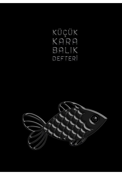 Küçük Kara Balık Defteri - İthaki Çocuk Yayınları