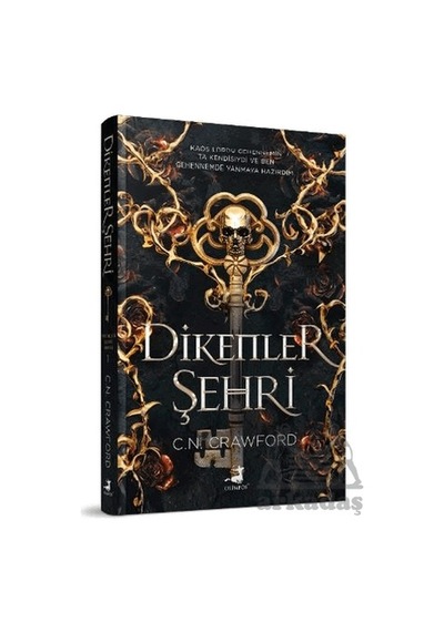 Dikenler Şehri - Ciltli