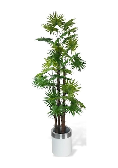 Yapay Ağaç Yelpaze Palmiye 4katlı Fanpalm 32 Yaprak Gümüş Kemerli Beyaz Saksıda 170 65cm